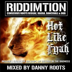 Hot Like Fyah - Riddimtion Mixtape 2019 - Mixed by Danny Roots