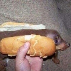 burger doeghii