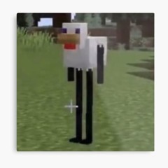 i remembered the password to this account (i didn't remember)