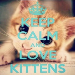 there’s so many things going on right now i think im going to break this camels back myself