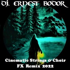 FL Cinematic Strings & Choir FX Remix 2022