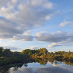 Ewrno_11.24_DNB_minimix