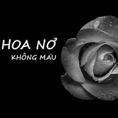 Hoa Nở Không Màu Cover