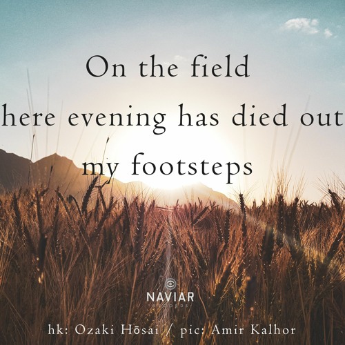 haiku #448: On the field / where evening has died out / – my footsteps