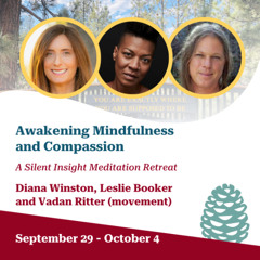 02 September 30, 2025 Is it Okay to Be Aware of Just This - Diana Winstom