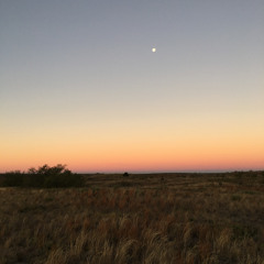 Music From The Middle Of Nowhere // Kocmoc Radio May 2021