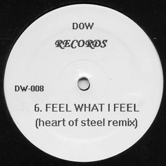 Walt J Feel What I Feel Heart Of Steel Remix