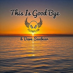 This Is Goodbye - Flowflyir & Dave Saulnier