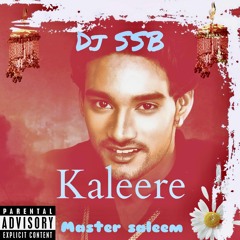 dj SSB X Master Saleem - Kaleere- 2025