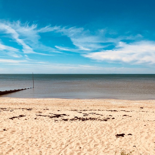 Trombone At The Beach