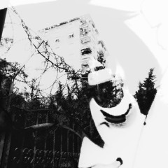 lets die in this car, my dear