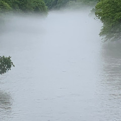 Early Morning, Misty Creek, Steaming Coffee
