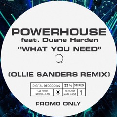 Powerhouse Feat. Duane Harden - What You Need (Ollie Sanders Remix) FREE DL