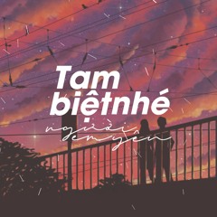 Tạm Biệt Nhé Người Em Yêu (Thay Lòng - DIMZ x TVk x LongB Remix)