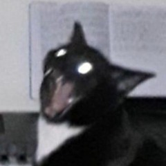 cr?an4:/ﾄﾞe^ror(Ohmygon!)