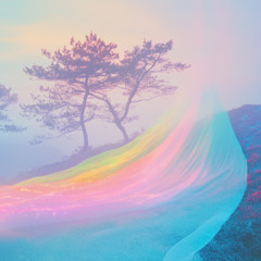 Ham Flower Man Theme