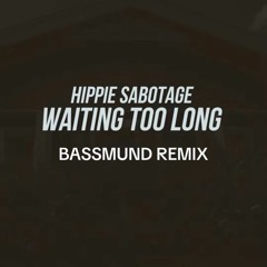 Hippie Sabotage - Waited too long (BASSMUND REMIX)