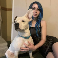 18++) Skirby dog original video denise frazier 619 dog twitter