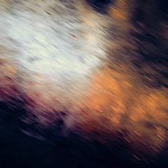 Running From The Neon Wolves