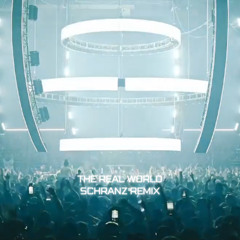 the real world - schranz-remix-