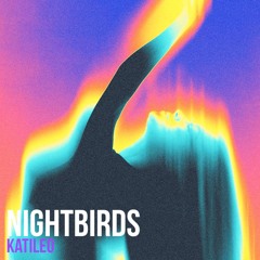 Nightbirds 20
