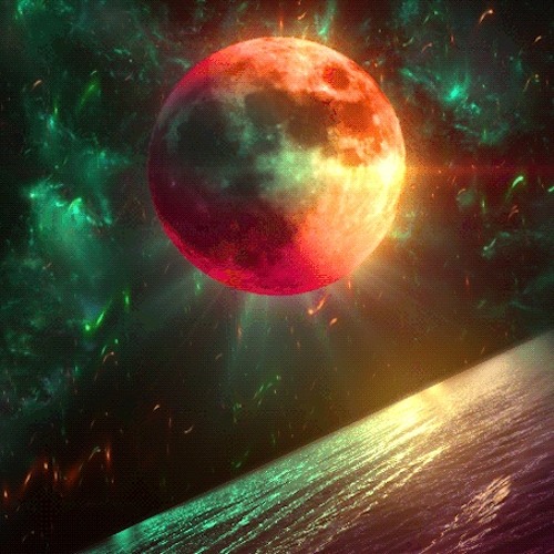 All in (prod sheepy)