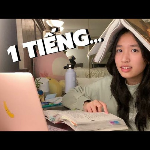 LOFI - 1 Hour Studying With Me