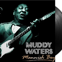 Muddy Waters - Mannish Boy [Razenkar Flip]