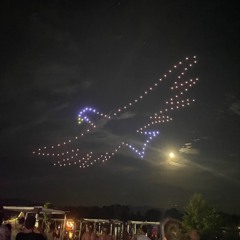 Sea You Festival 2024