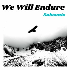 We Will Endure