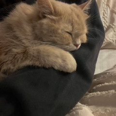 She hitting my phone