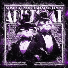 Alfons - Aristocat (Yosuf Remix)