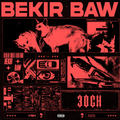 Bekir Baw