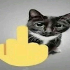 dis on some rando fuck ass bitches (pipebomb)