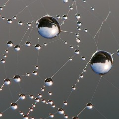 PixelWave _ Page Of Madness