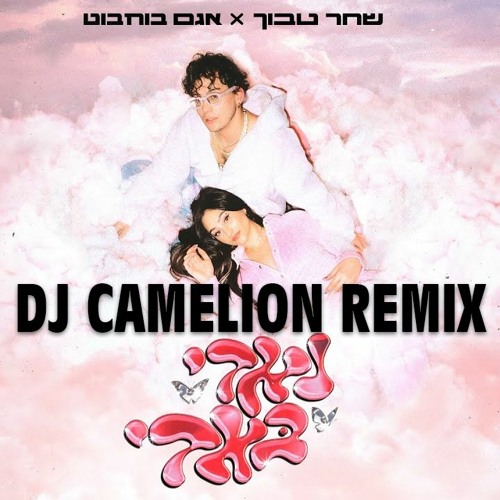 שחר טבוך X אגם בוחבוט - נאדי באדי (Dj Camelion Remix)