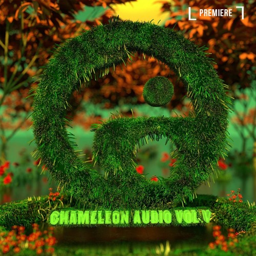 Lord Grey - Drawn Out (Chameleon Audio)