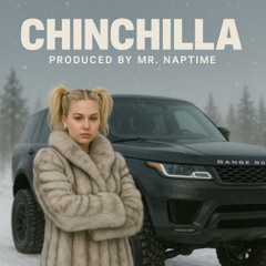 Chinchilla X Mr. Naptime