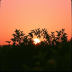 Forever my love reggae (rendition)