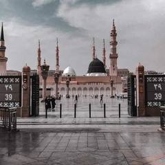 حبُّ المدينة | الشيخ محمد بن محمد المُختار الشنقيطي