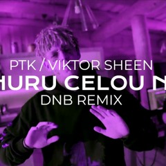 PTK - VZHŮRU CELOU NOC feat. VIKTOR SHEEN (LADIS BEATS DNB REMIX)