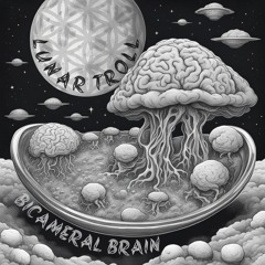 Bicameral Brain