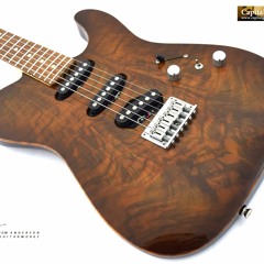 Tom Anderson Hollow T Contoured 09 - 04 - 02N Ch1