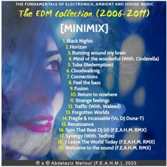 [MINIMIX] The EDM Collection (2006 - 2011)
