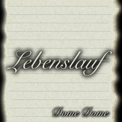Lebenslauf