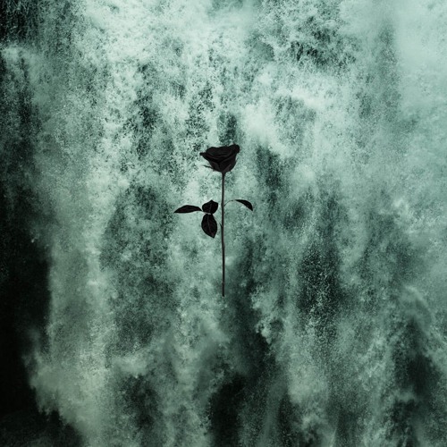 PREMIERE: MAAND - Introspective (Original Mix) [Black Rose]