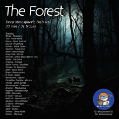 'The Forest' - deep/minimal DnB atmospheric mix