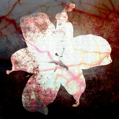 kislota(@krovarxiv @demakroys)