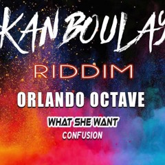 Orlando Octave -What She Want (Young K Remix)