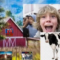 projc mooiikablooie